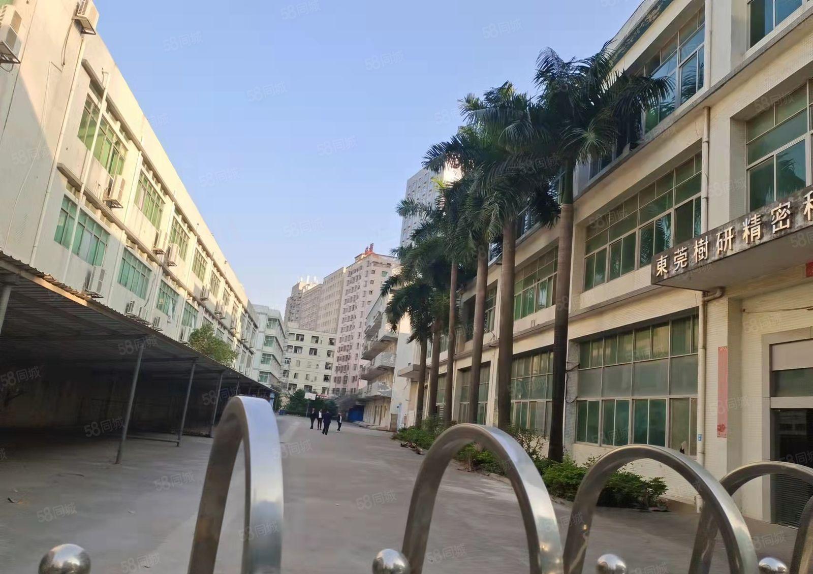 咸西新空楼上750平方厂房出租，带装修