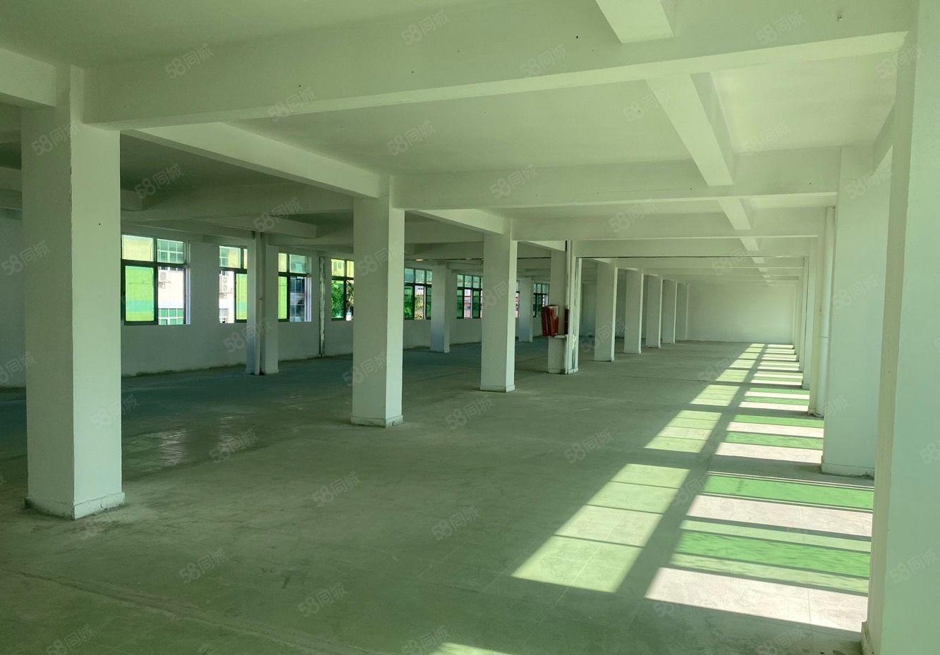 长安厦边358旁 全新厂房出租 带装修 即租即生产价格可面谈