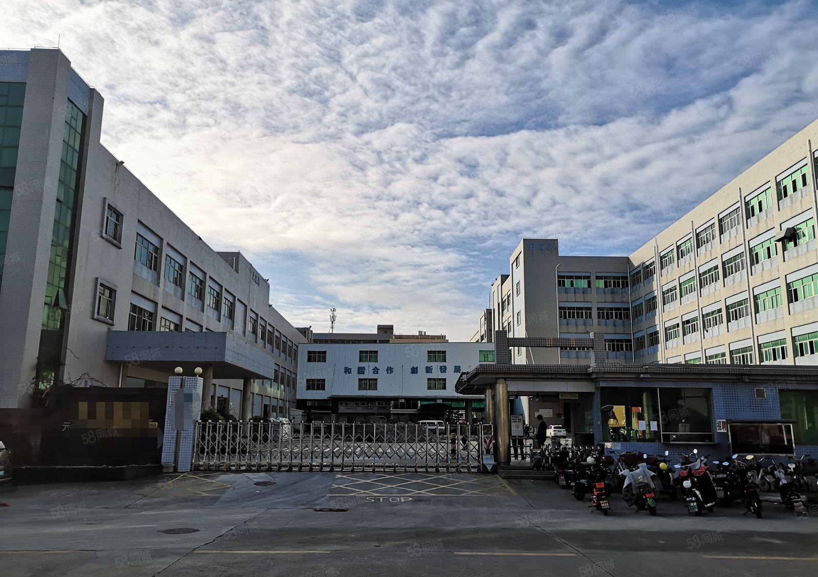 长安镇沿江高速口新出三万平红本厂房分租形象好空地大可办环评