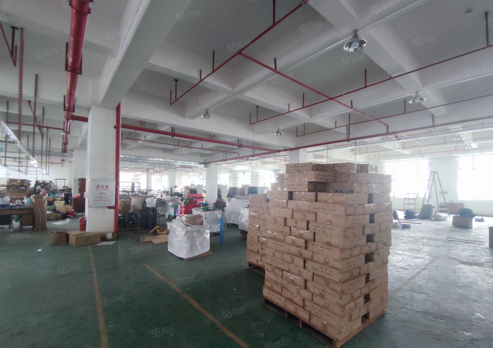 长安镇沙头社区原房东独门独院标准厂房出租4800平米