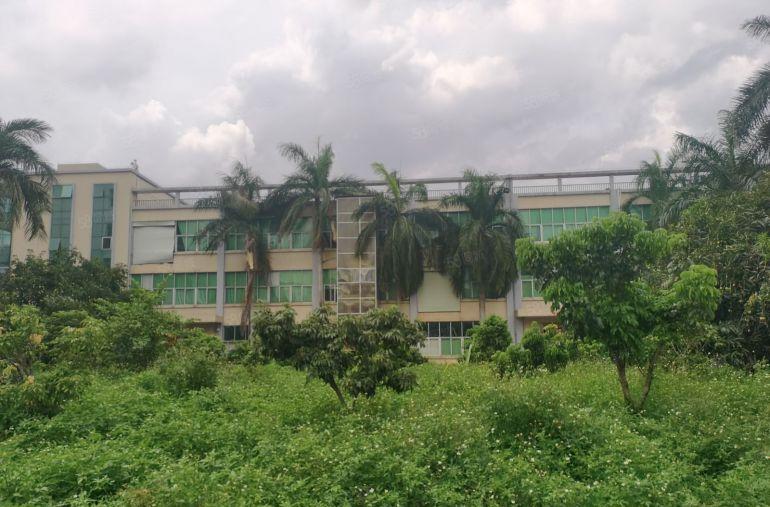 长安一楼厂房出租500平方米起租，独门独院厂房出租楼厂12元