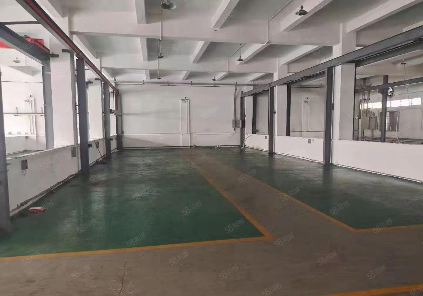 （厂房出租）长安镇沙头社区原房东楼上整层1400平方 公摊小