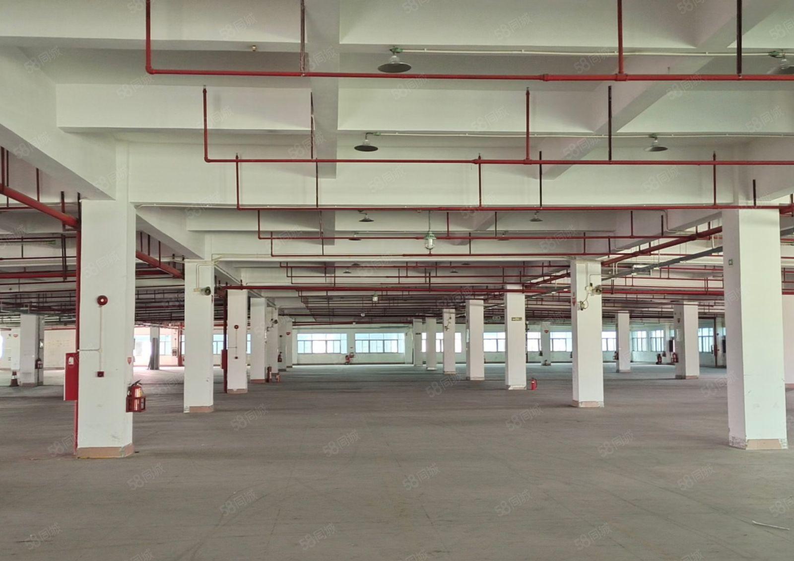 长安镇沿江高速口新出三万平红本厂房分租形象好空地大可办环评