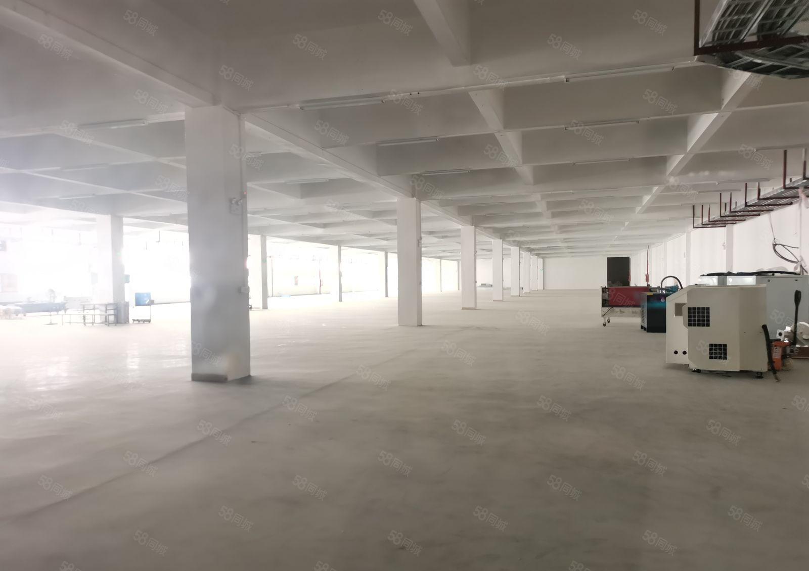 带超声波，印刷，喷油，洗水，喷涂，丝印环保批文厂房出租