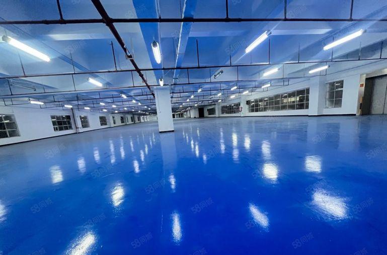 长安沙头3000平厂房出租 大小可分租 电子 五金 低价出租