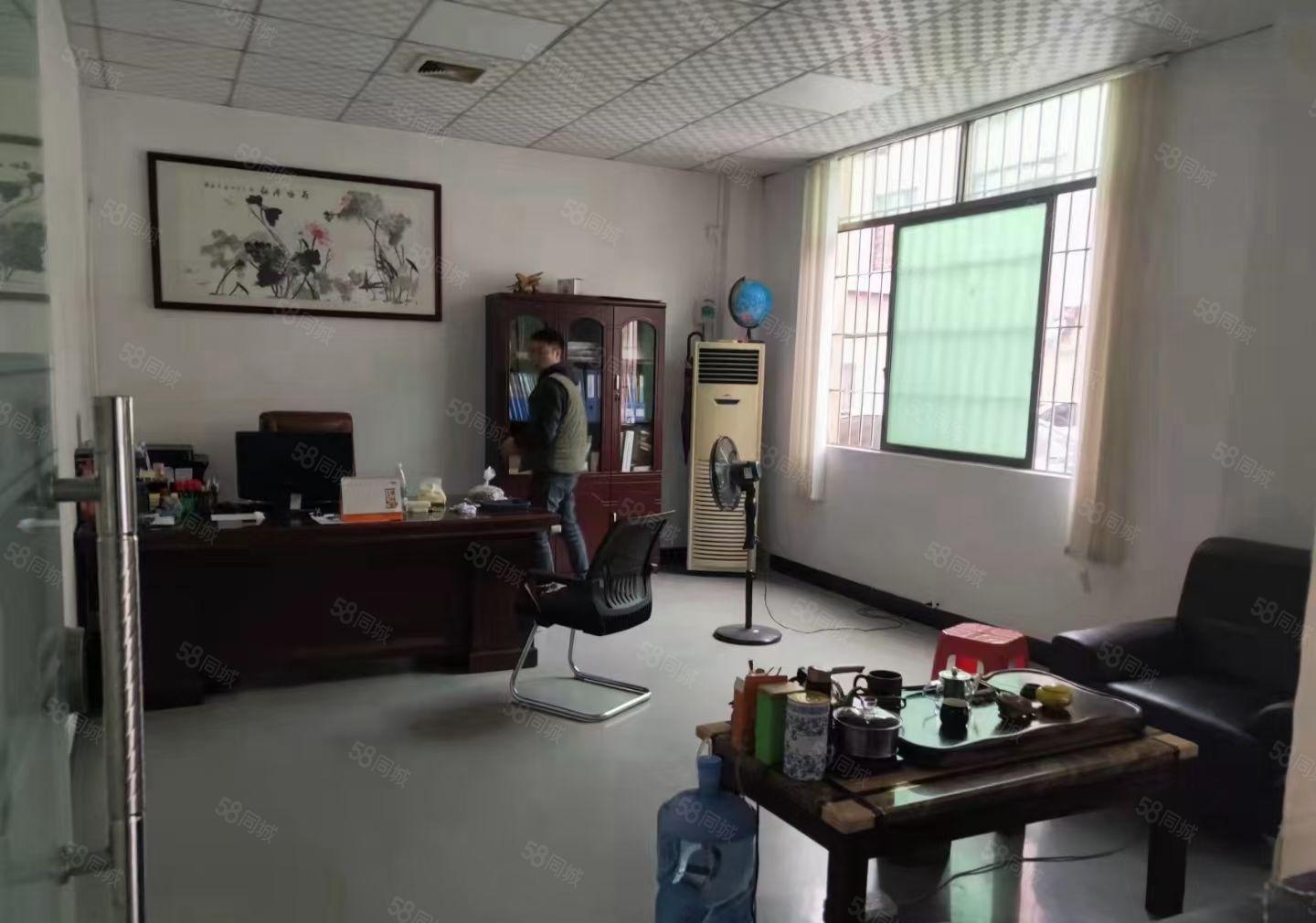 上沙新出标准一楼，精装修520平方厂房出租