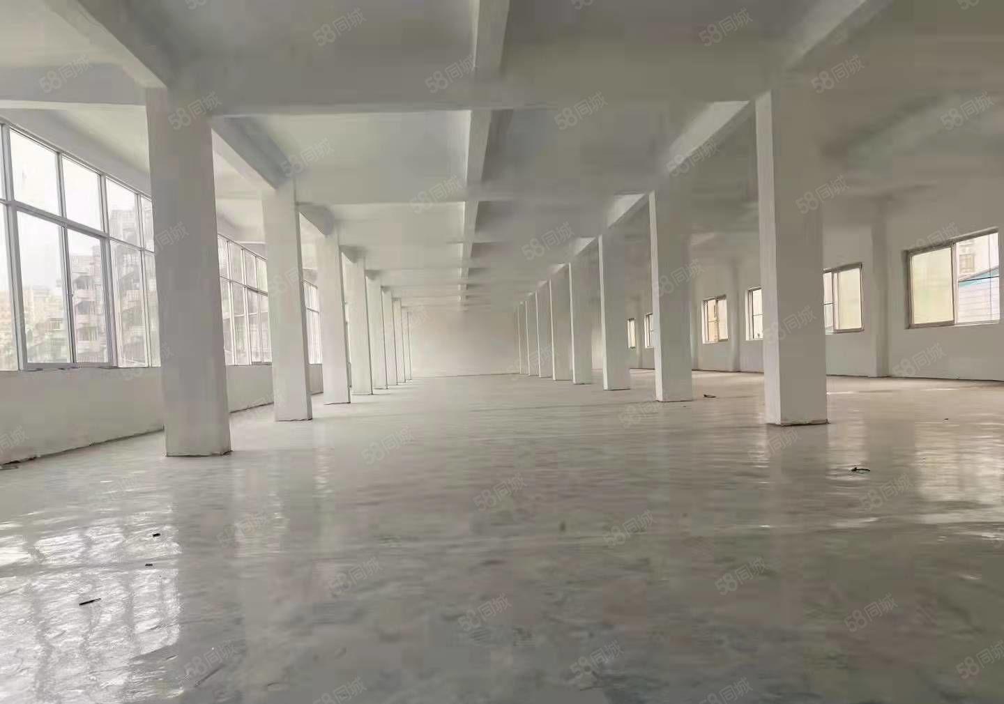 长安镇厦边新出独门独院3600平形象好精装修厂房出租