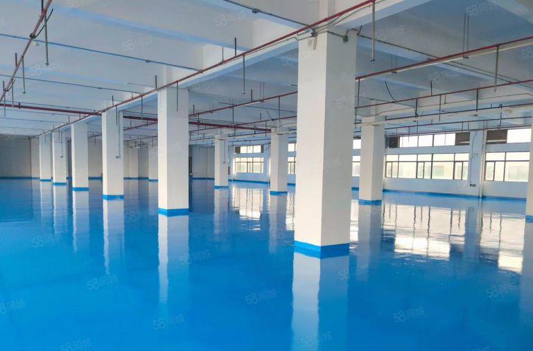 长安沙头大康惠附近新出一楼高5米实际1800平，实业客甩租