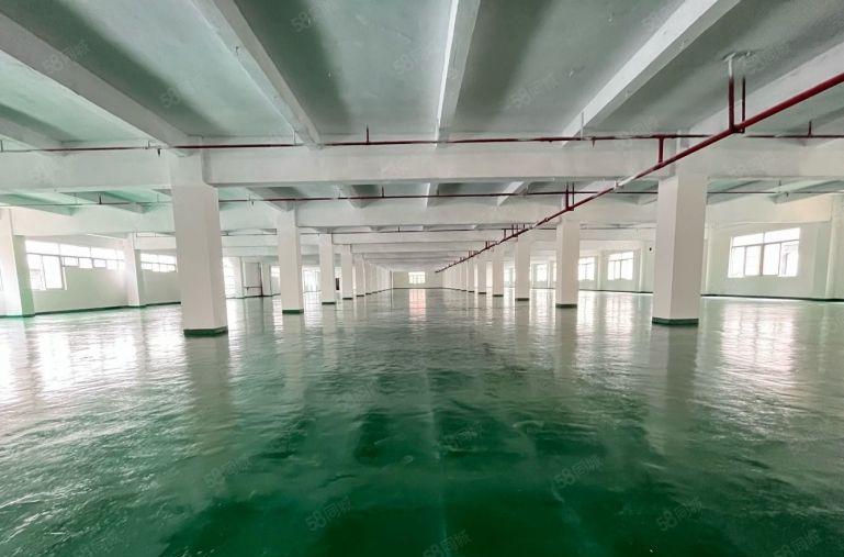 长安锦厦独院2000平厂房出租 可整租可分租 临界深圳