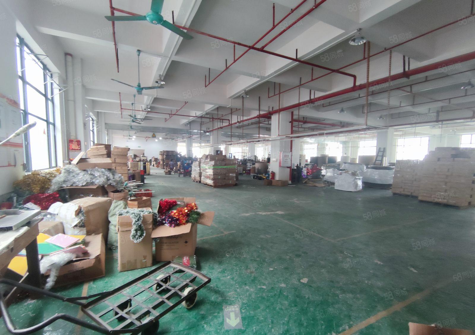 长安镇沙头社区原房东独门独院标准厂房出租4800平米