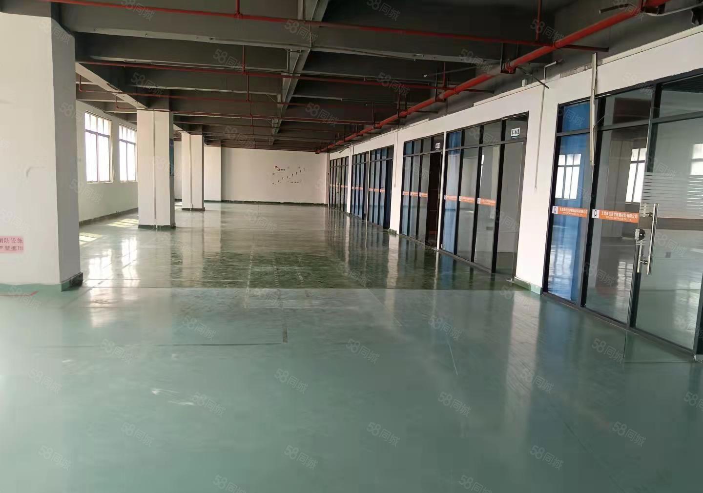 长安沙头南区新空出楼上1100平方，现成装全新地坪漆水电齐全