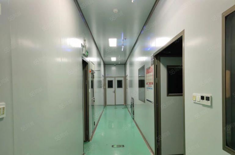 长安滨海湾新区新出豪华装修厂房，无尘车间无转让费用，水电到位