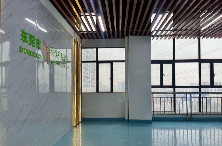 长安沙头精装修 1000平厂房出租 可分租 电子 五金 机加