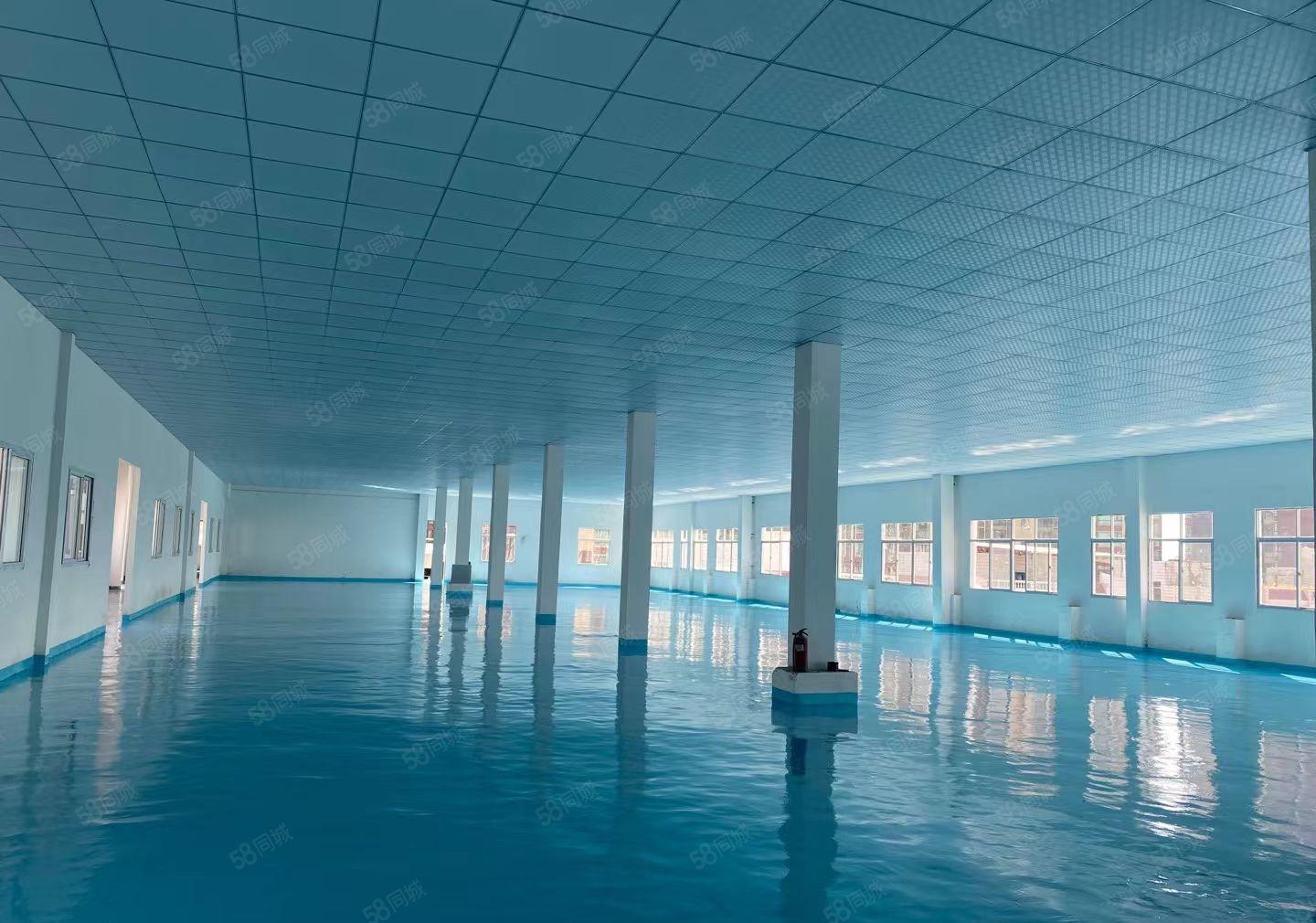 长安乌沙新出2楼2060方，全新地坪漆