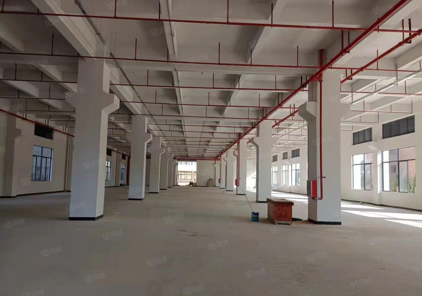 长安沙头新出原房东独院标准厂房建筑面积出租