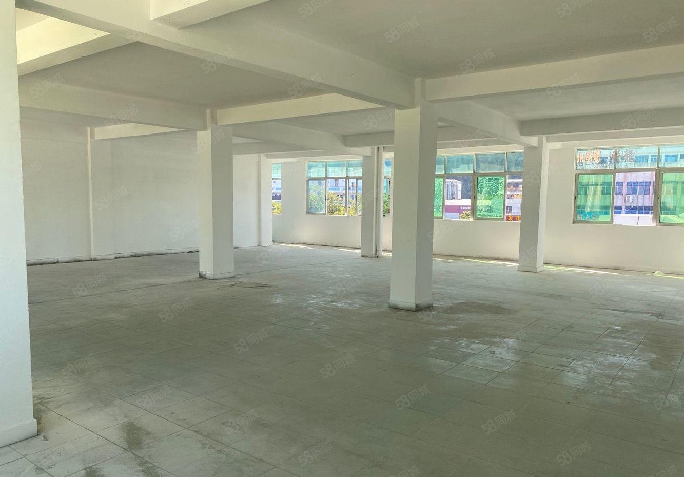 长安厦边358旁 全新厂房出租 带装修 即租即生产价格可面谈