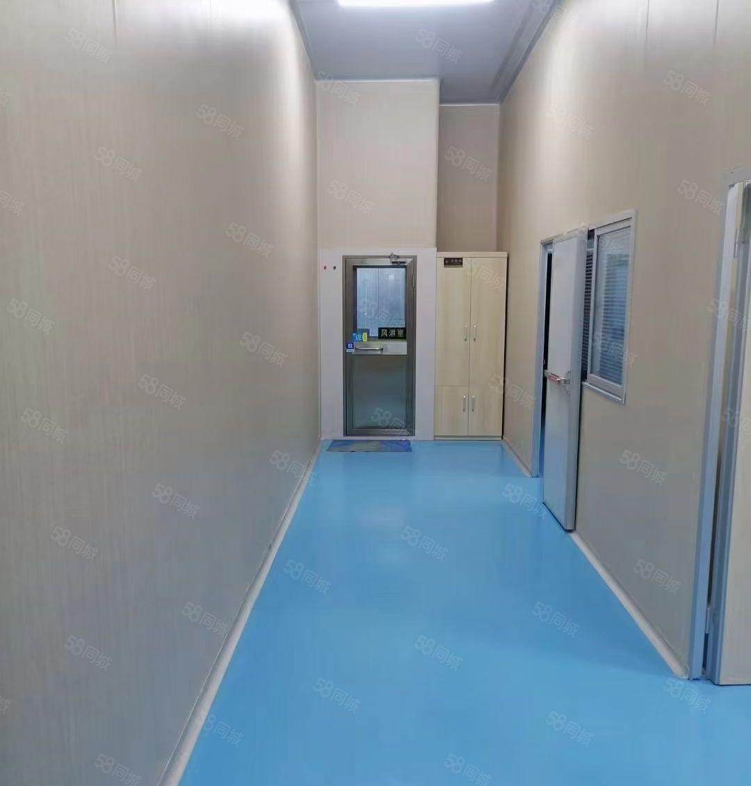 长安上沙厂房出租新空楼上无尘车间1380平