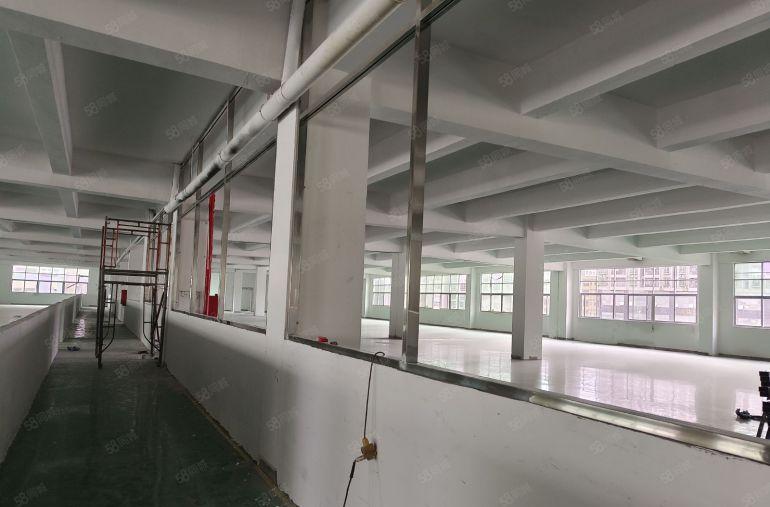 一楼500平方起租 楼上240平方起厂房招租长安沙头