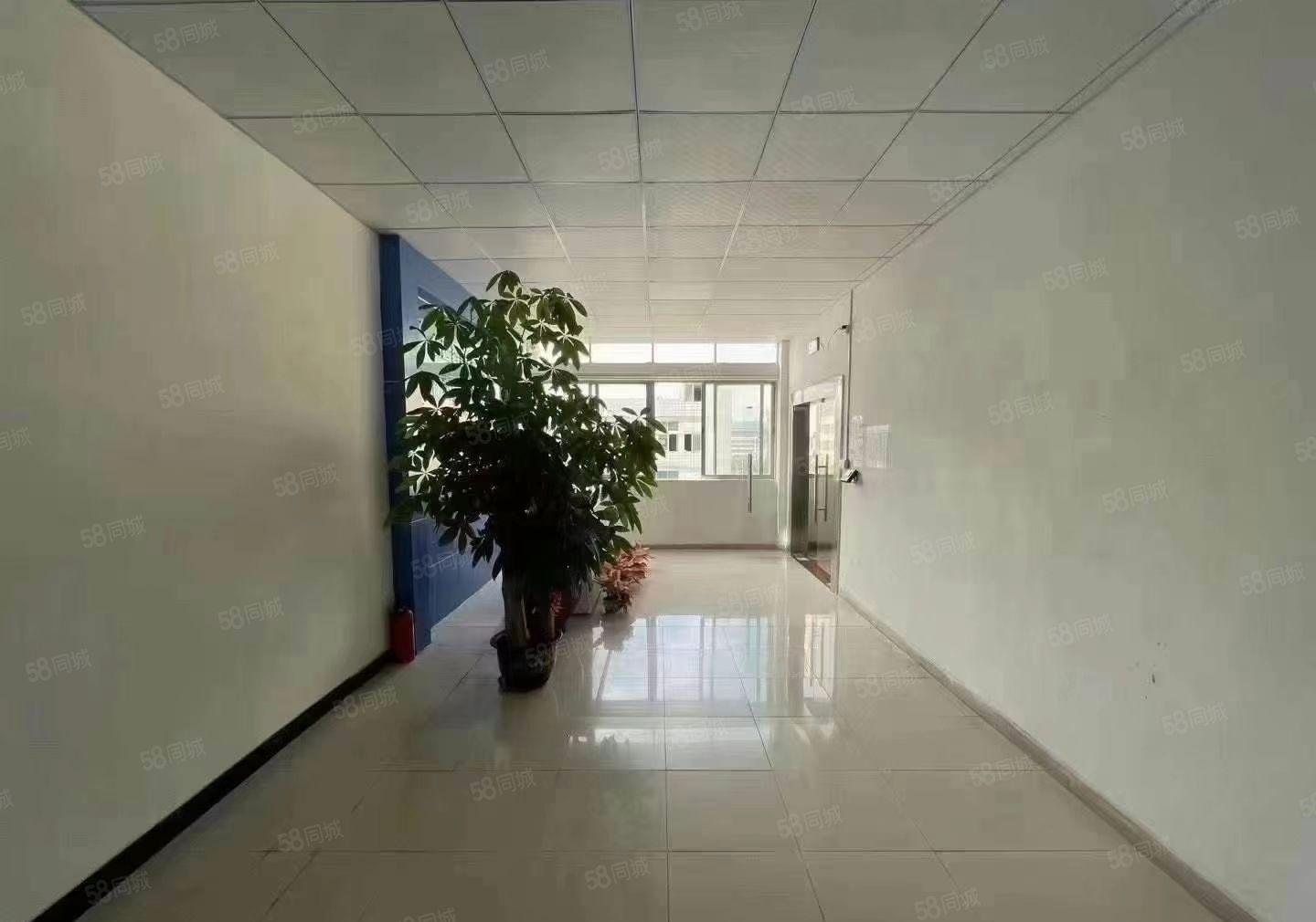 豪华装修水电齐全标准厂房一楼