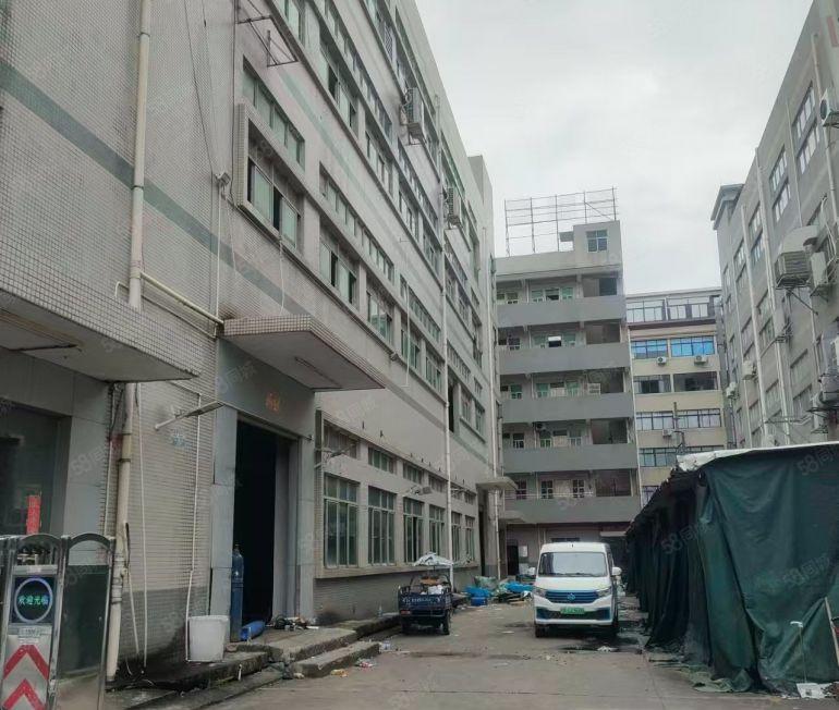 独院厂房出租！长安新民新空出5800平方带宿舍精装修价格便宜