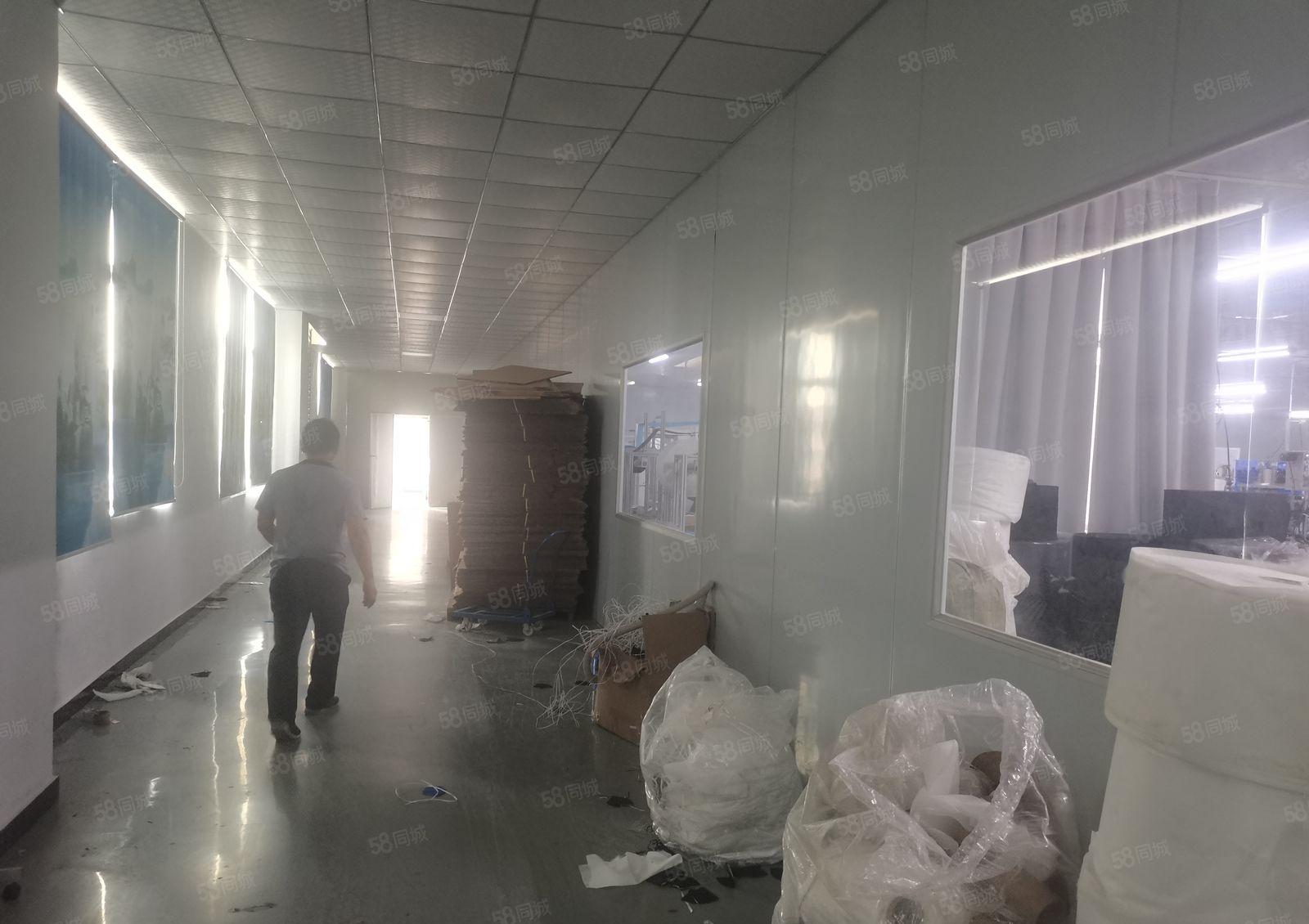 低租金 长安镇厦边标准厂房无尘车间出租二楼面积1350平