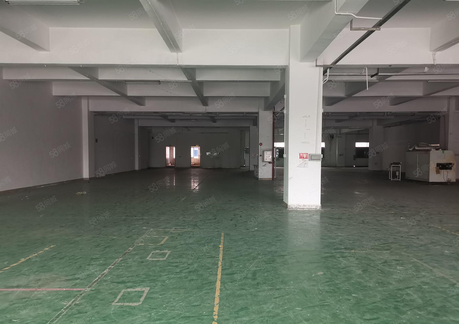 新安大桥旁新出二楼1800平方精装修厂房招租