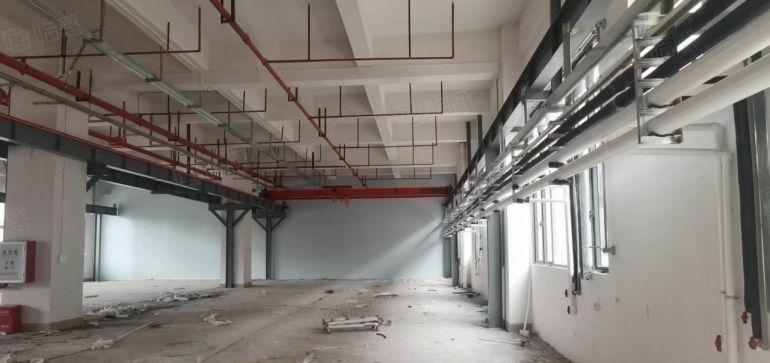 长安厂房出租原房东独院500至1500平方大小分租现成精装修