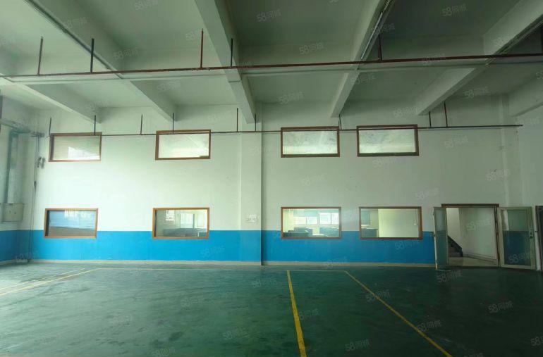 长安上沙新出原房东一楼高6米2200平直租