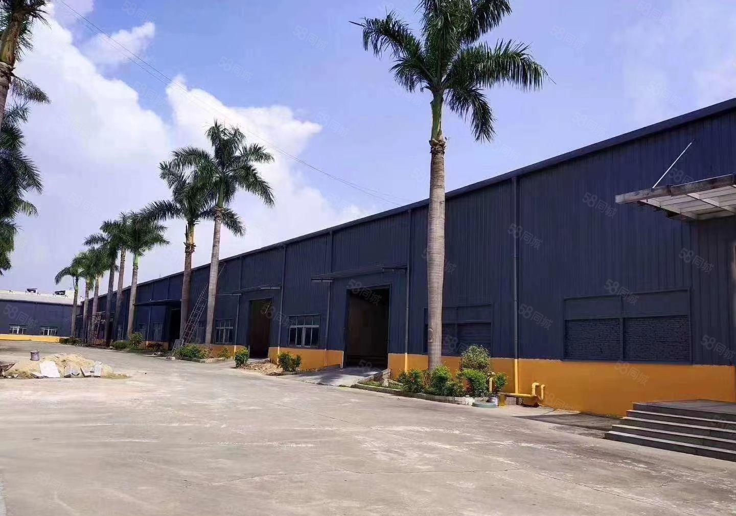 长安宵边一楼900平，原房东钢构厂房出租