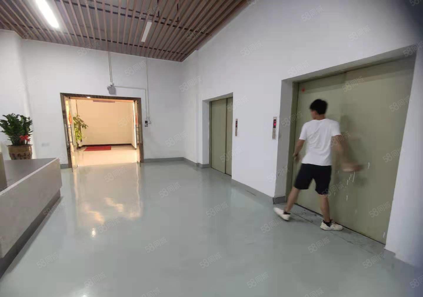 豪华装修水电齐全标准厂房出租整层