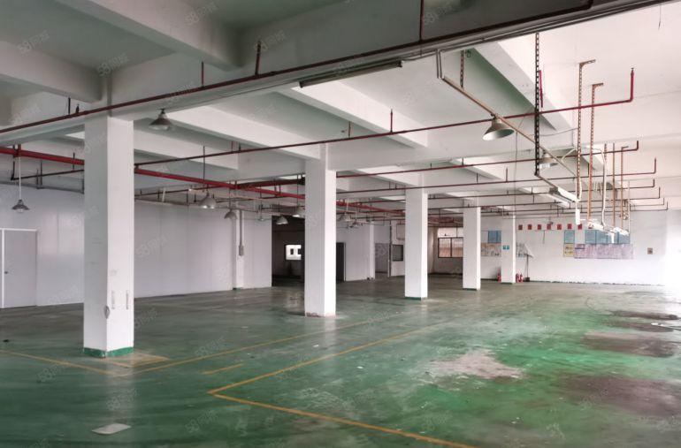 长安镇独门独院厂房出租，可以分租，带办公室装修，500米起租