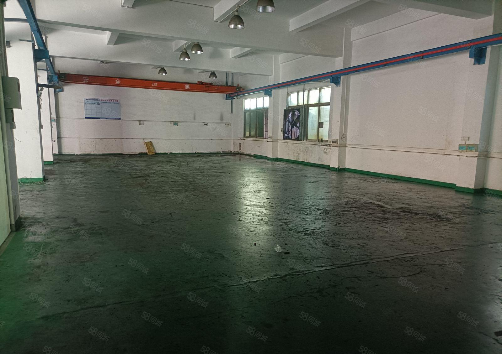 长安厦岗标准一楼带行车厂房出租，面积650平方