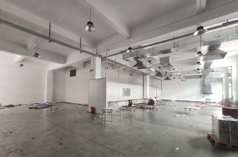 长安广深高速口附近一楼1280平精装修办公室工业厂房出租