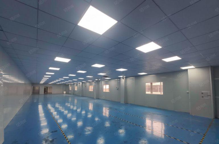 二楼700平14块全新装修 沙头低价工业厂房出租