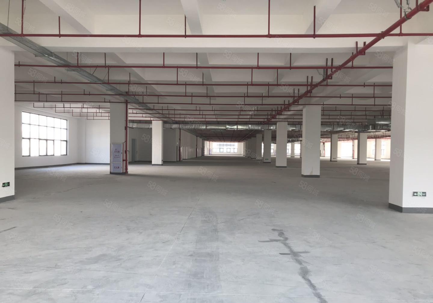 新出长安沿江高速口三万平高端红本厂房分租上市公司形象