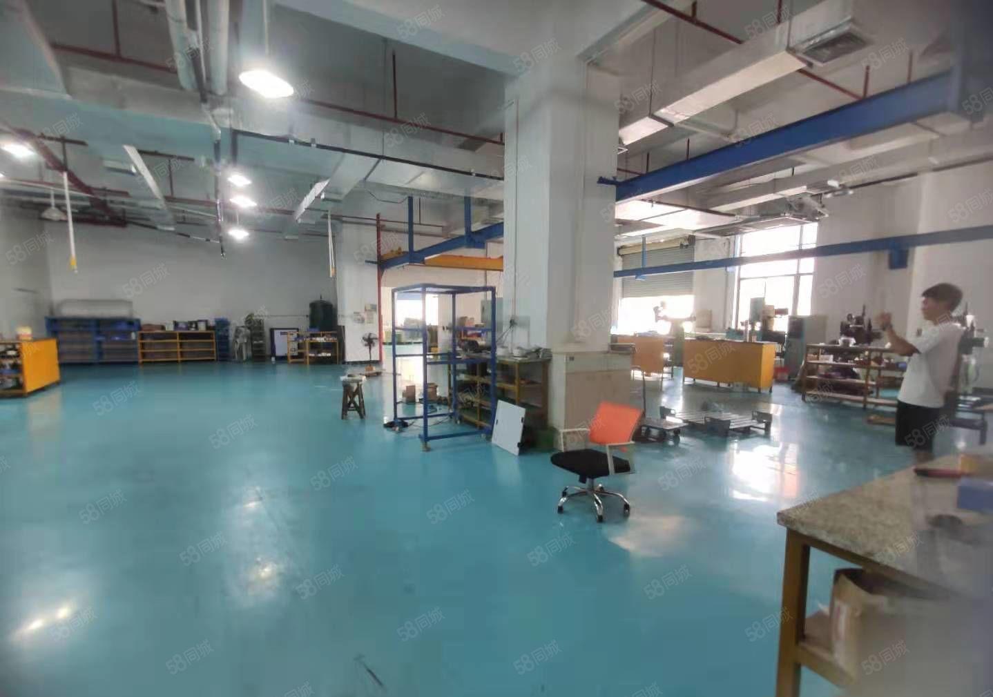 豪华装修水电齐全标准厂房出租整层