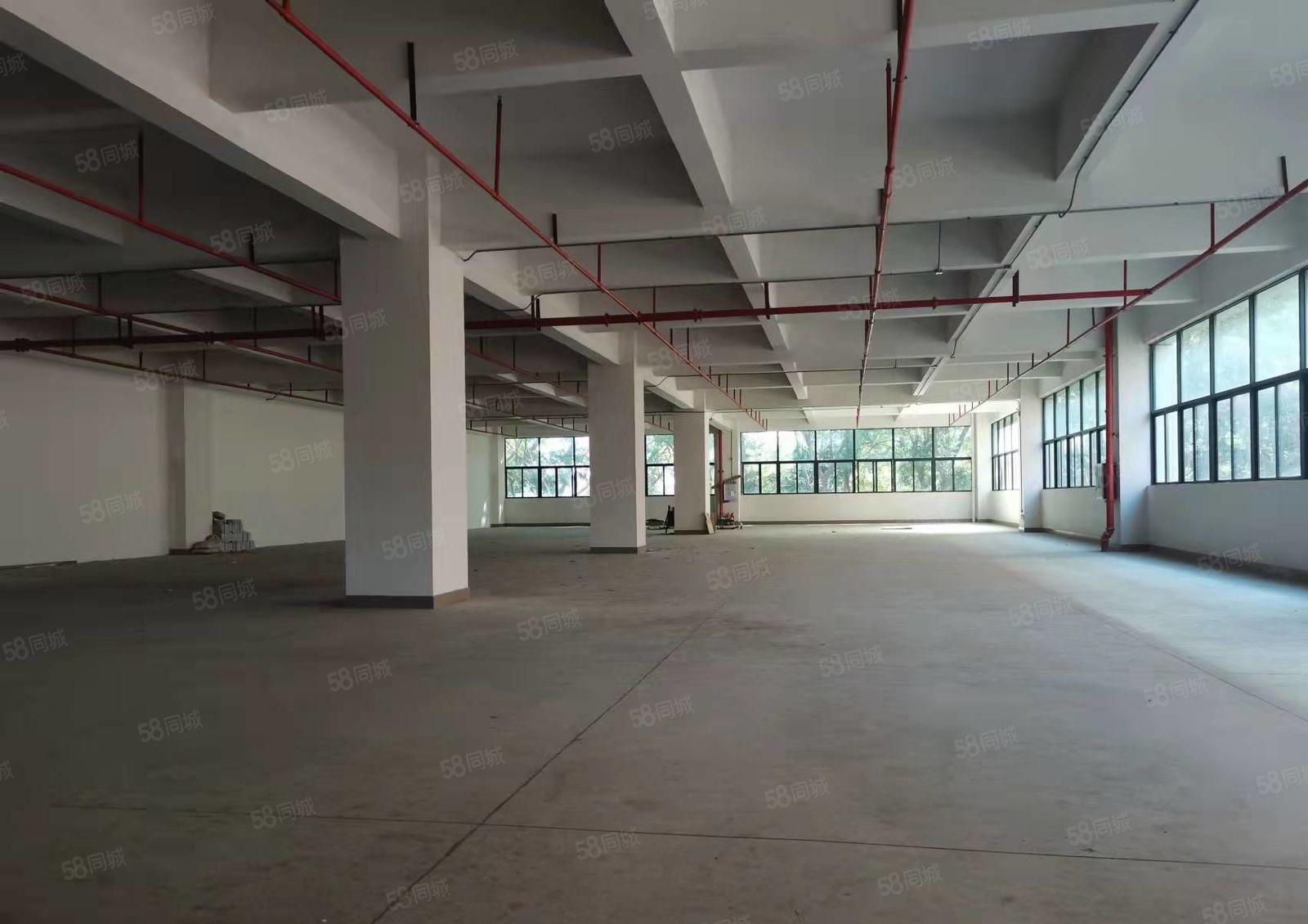 原房东招租 长安镇乌沙社区厂房二楼1000平方出租 可办环评