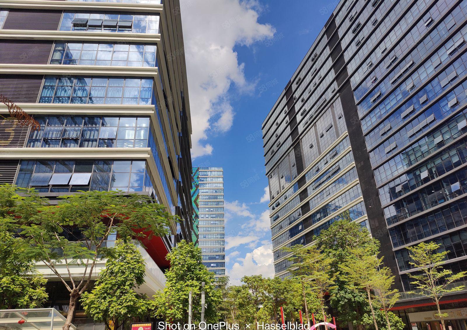 500起租长安临深高新园区全新厂房出租可生产可办公近高速路口