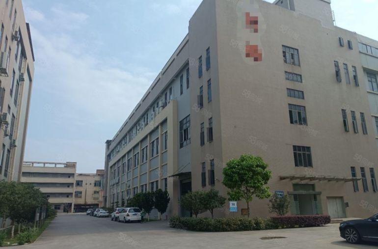 沙头社区一楼高度八米，园区形象非常高大上