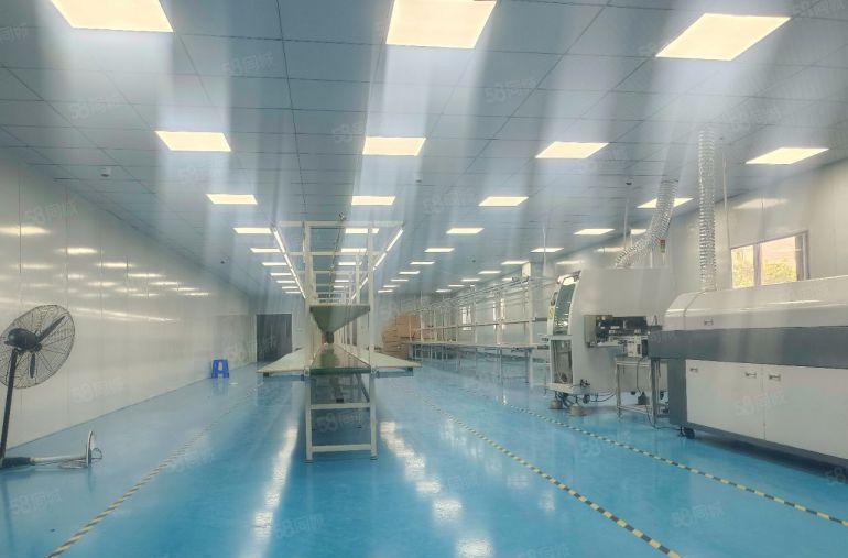 长安沙头新空楼上800平洁净厂房招租