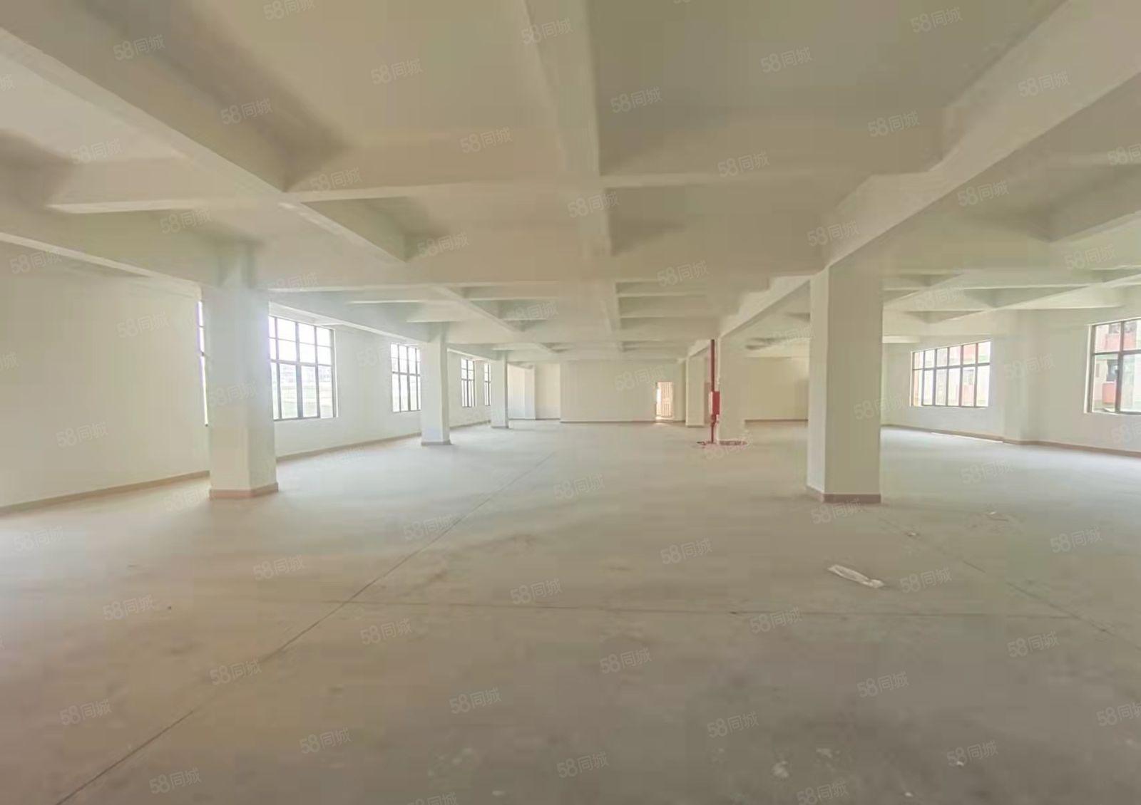 东莞长安沙头木鱼二街全新重工厂房5850平