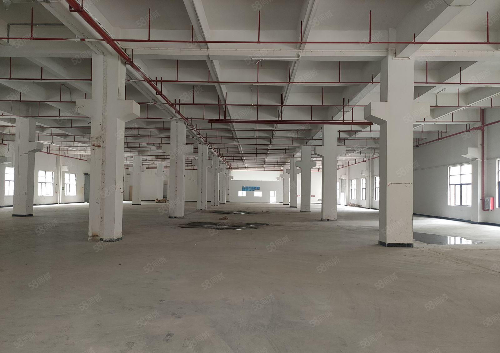 长安镇厦边一楼3580方花园式厂房出租高度8米带牛角