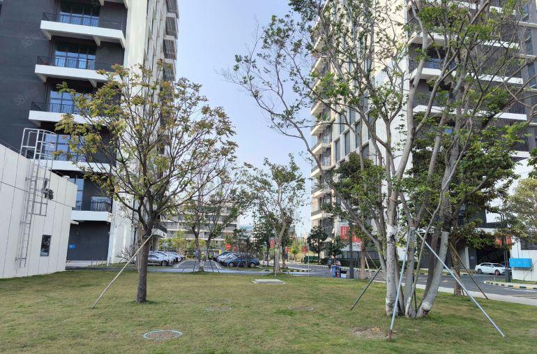 长安原房东红本一二楼各1000平带装修厂房办公室出租，水电齐