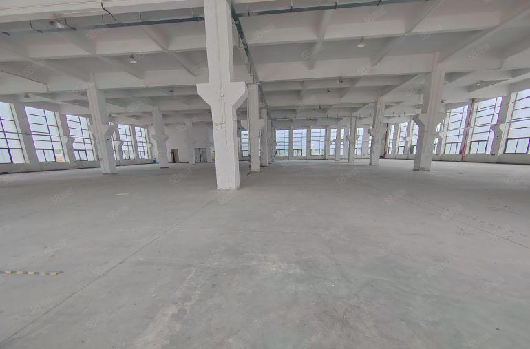 标准厂房独栋一楼8米高，园区形象好，空地大，周围生活配套