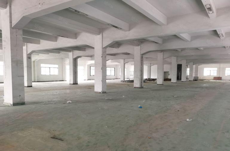 长安镇独院厂房出租6000平方米，分租1500平方米起