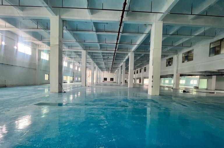 长安厦岗 原房东独院6000平厂房出租 大小可分租