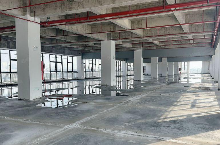 红本工业区标准厂房出租，每栋都可以隔独院