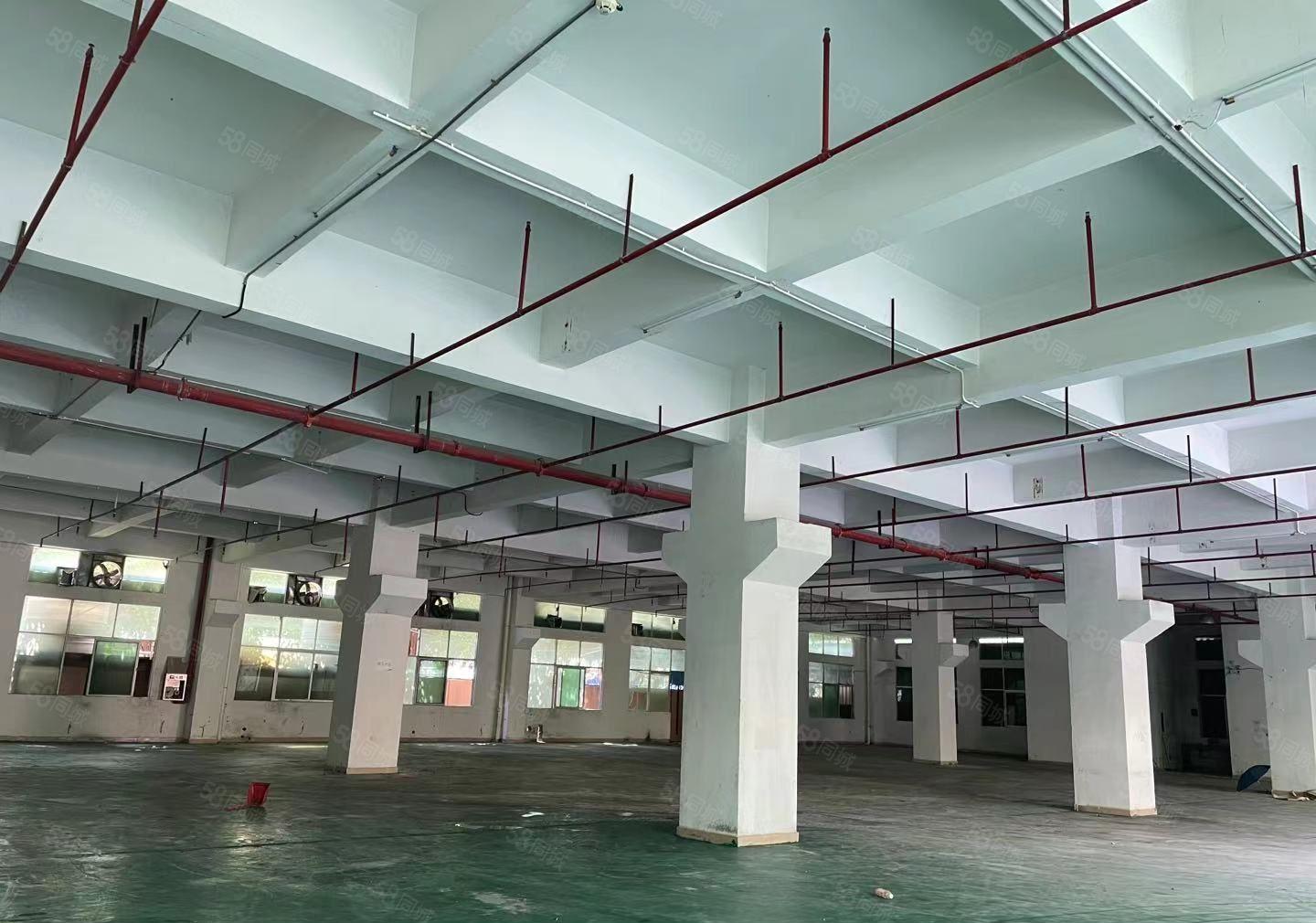 注塑客户的福音，重工业厂房，高6米带牛角