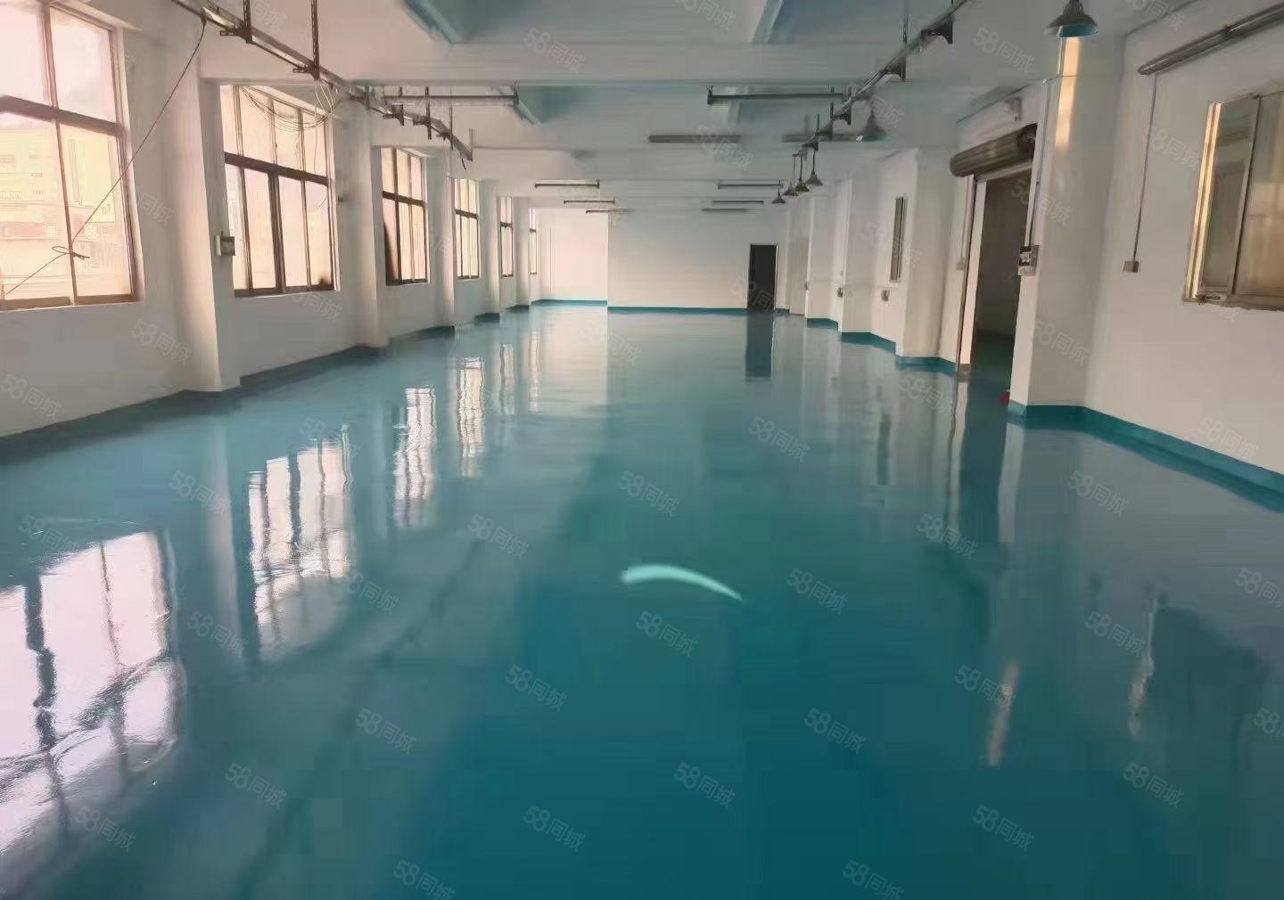 豪华装修二楼标准厂房出租