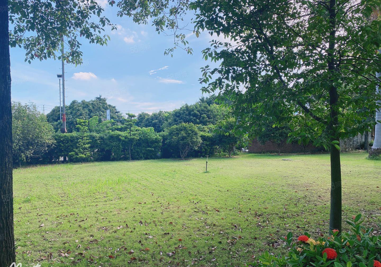 东莞长安镇锦厦工业区原房东花园式独门独院11000平厂房出租